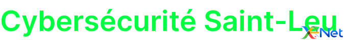 Cybersécurité Saint-Leu